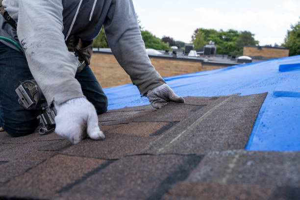 Best Roof Gutter Cleaning  in Holstein, IA